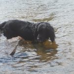 Remin Playing in the water