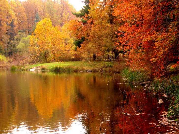 Fall