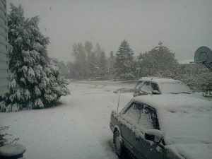 snowoct8