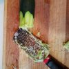 Micro Shredded Zucchini
