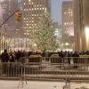 Tree at Rockefeller Center